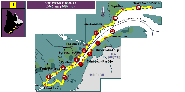 [Map of the Whale Route]