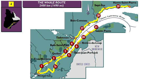 [Map of the
 Whale Route]